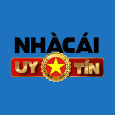 Trang Web Cược Bóng Đá Live Betting Professional